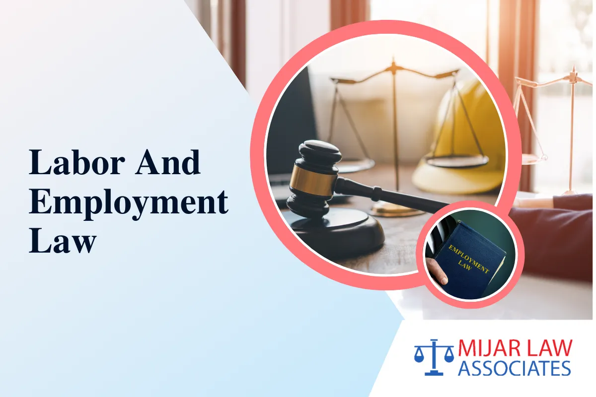 Labor & Employment Law